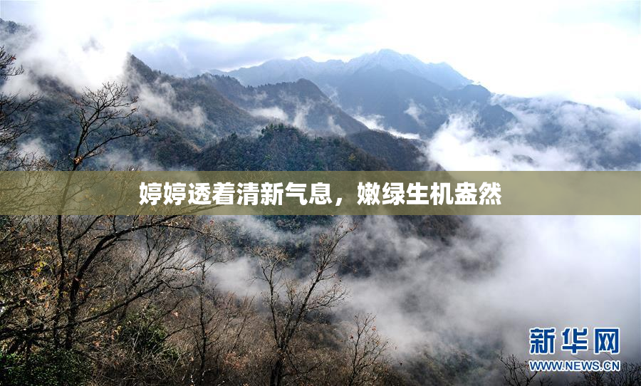 婷婷透着清新气息，嫩绿生机盎然