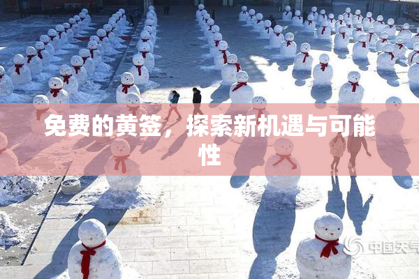 免费的黄签，探索新机遇与可能性