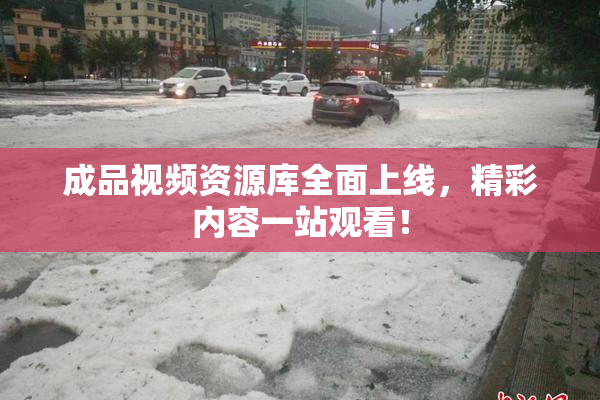 成品视频资源库全面上线，精彩内容一站观看！