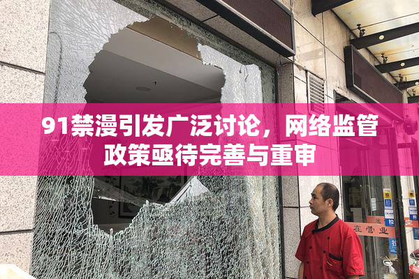 91禁漫引发广泛讨论，网络监管政策亟待完善与重审