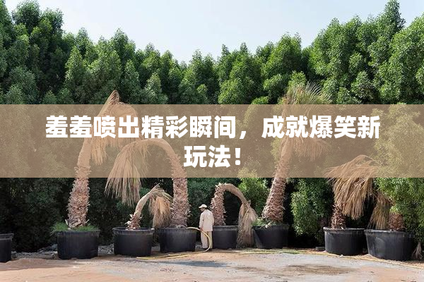 羞羞喷出精彩瞬间，成就爆笑新玩法！