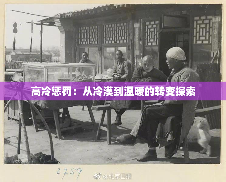 高冷惩罚：从冷漠到温暖的转变探索