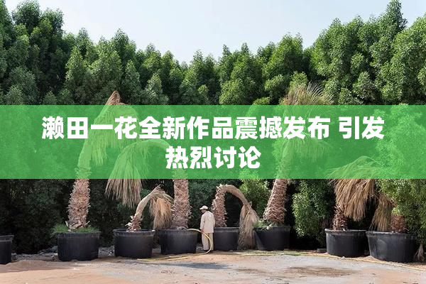 濑田一花全新作品震撼发布 引发热烈讨论