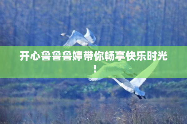开心鲁鲁鲁婷带你畅享快乐时光！
