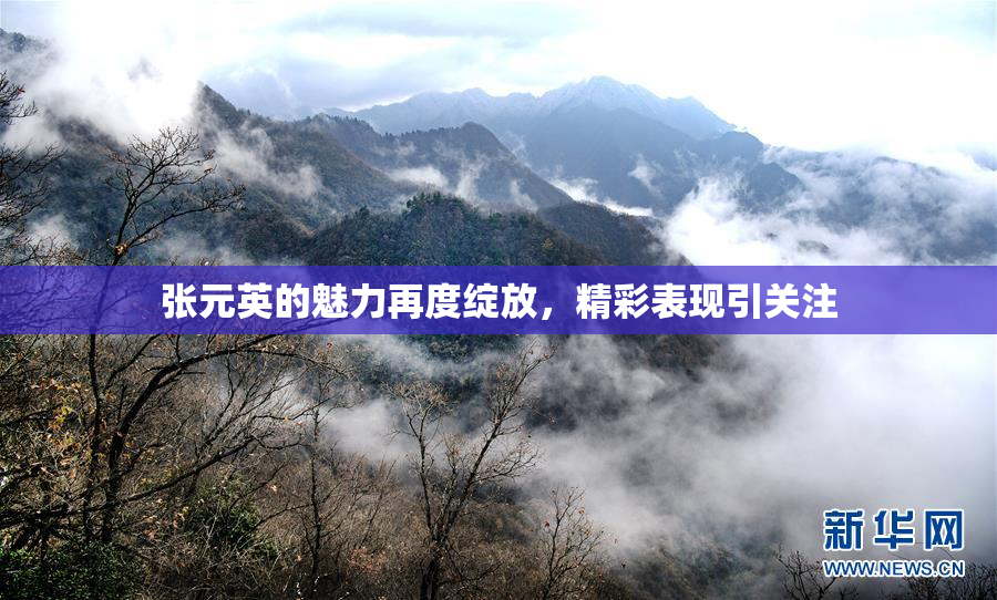 张元英的魅力再度绽放，精彩表现引关注