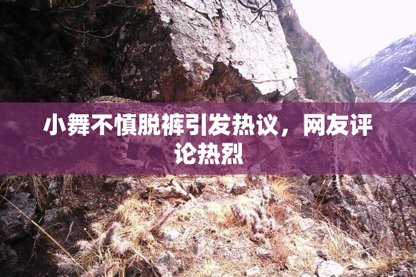 小舞不慎脱裤引发热议，网友评论热烈