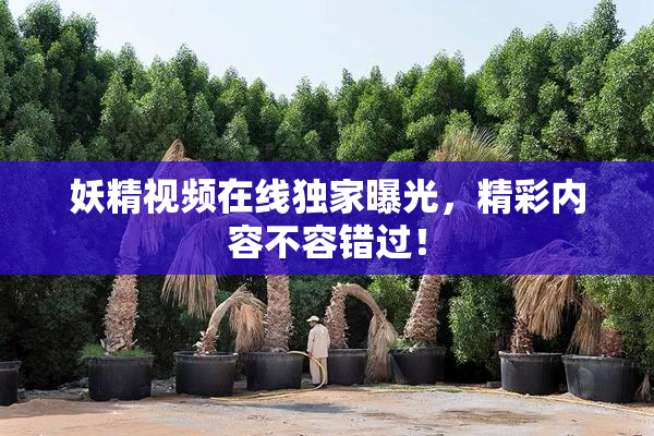 妖精视频在线独家曝光，精彩内容不容错过！