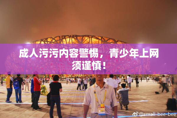 成人污污内容警惕，青少年上网须谨慎！