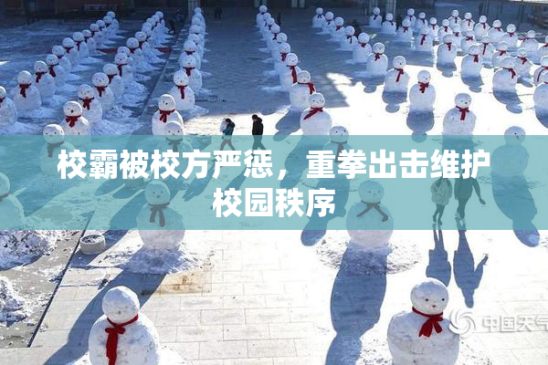 校霸被校方严惩，重拳出击维护校园秩序