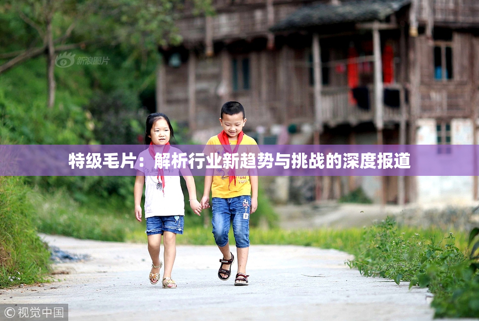 特级毛片：解析行业新趋势与挑战的深度报道