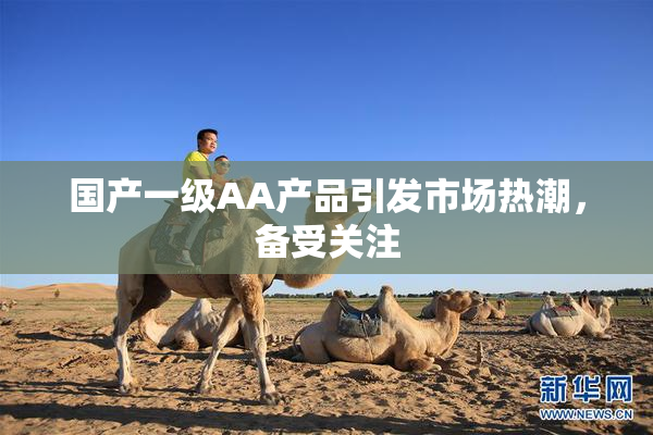 国产一级AA产品引发市场热潮，备受关注