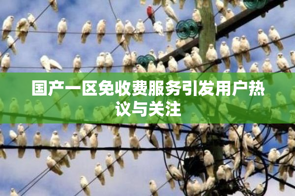 国产一区免收费服务引发用户热议与关注