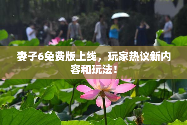 妻子6免费版上线，玩家热议新内容和玩法！