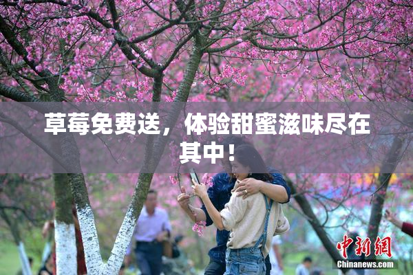 草莓免费送，体验甜蜜滋味尽在其中！