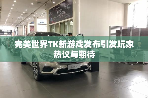 完美世界TK新游戏发布引发玩家热议与期待