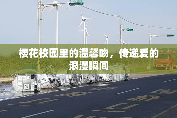 樱花校园里的温馨吻，传递爱的浪漫瞬间