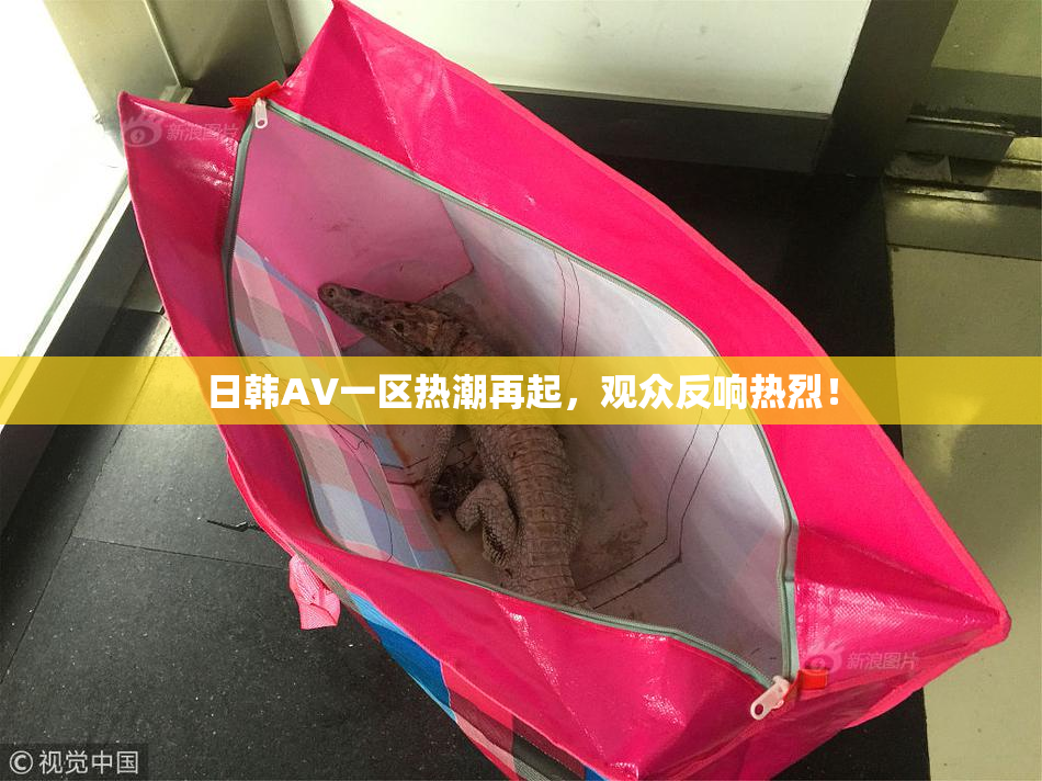 日韩AV一区热潮再起，观众反响热烈！