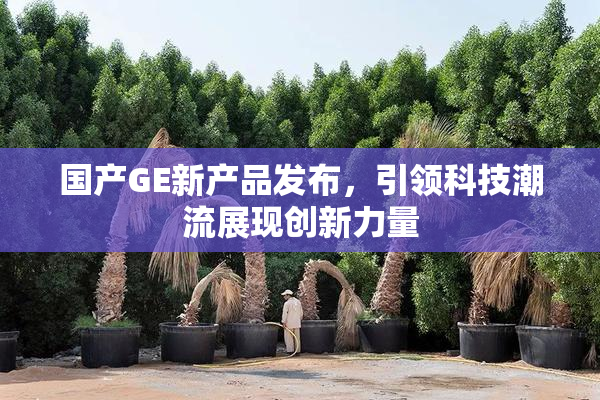 国产GE新产品发布，引领科技潮流展现创新力量