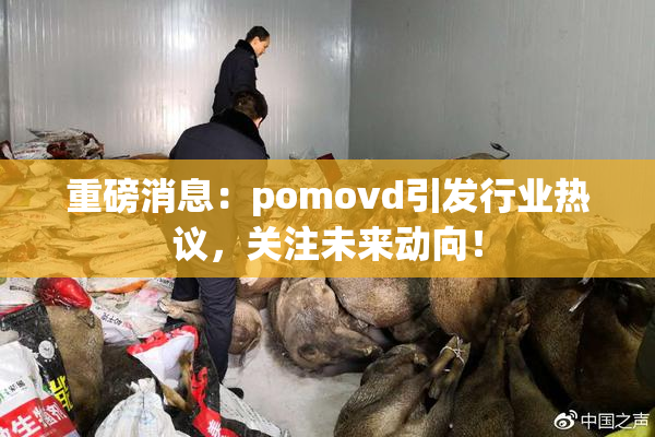 重磅消息：pomovd引发行业热议，关注未来动向！