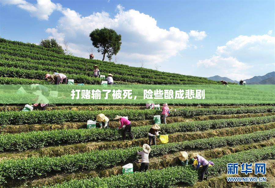 打赌输了被死，险些酿成悲剧
