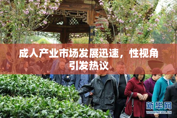 成人产业市场发展迅速，性视角引发热议