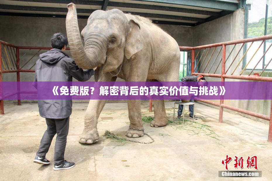 《免费版？解密背后的真实价值与挑战》