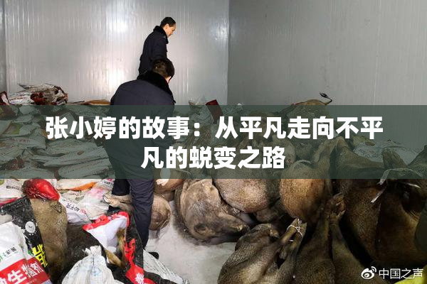 张小婷的故事：从平凡走向不平凡的蜕变之路