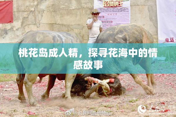 桃花岛成人精，探寻花海中的情感故事