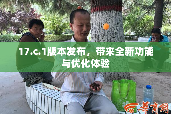 17.c.1版本发布，带来全新功能与优化体验