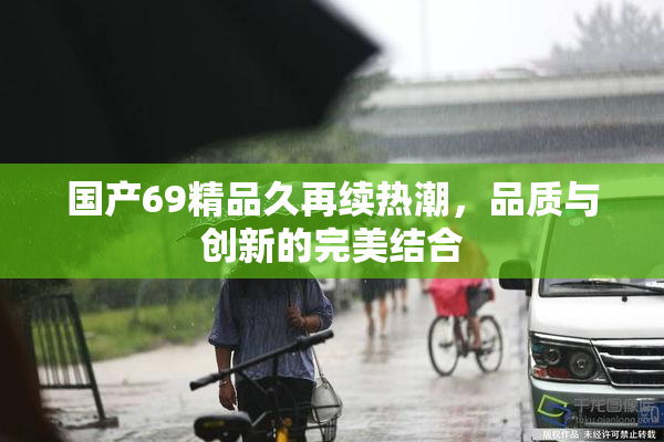 国产69精品久再续热潮，品质与创新的完美结合