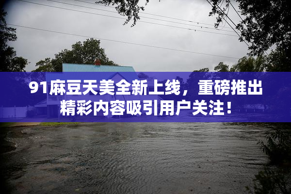 91麻豆天美全新上线，重磅推出精彩内容吸引用户关注！