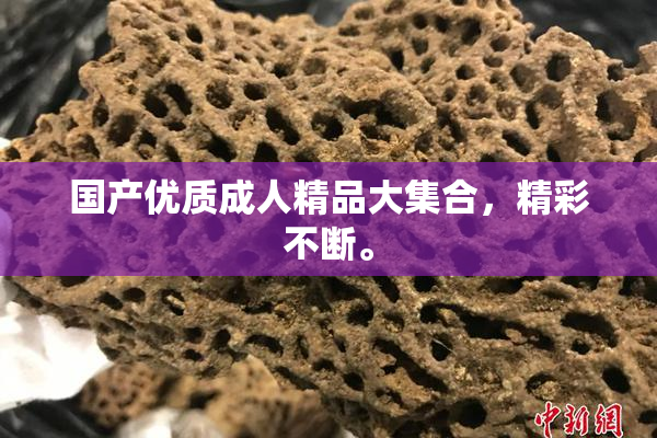 国产优质成人精品大集合，精彩不断。