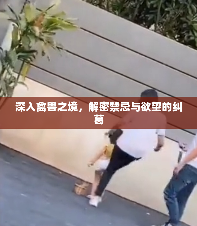 深入禽兽之境，解密禁忌与欲望的纠葛