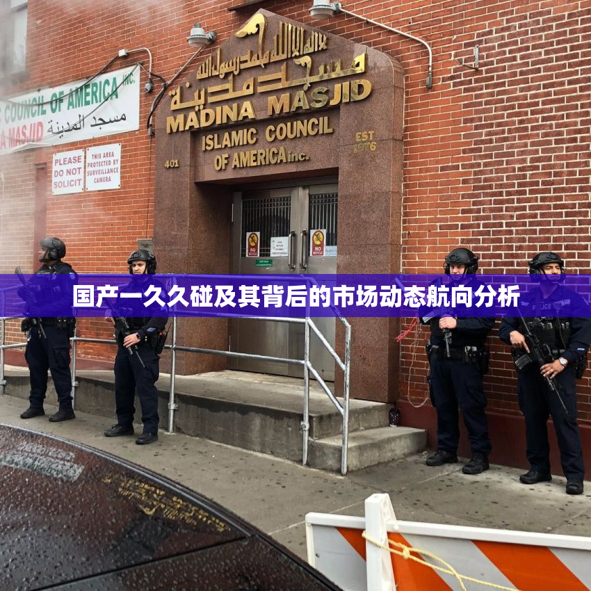 国产一久久碰及其背后的市场动态航向分析