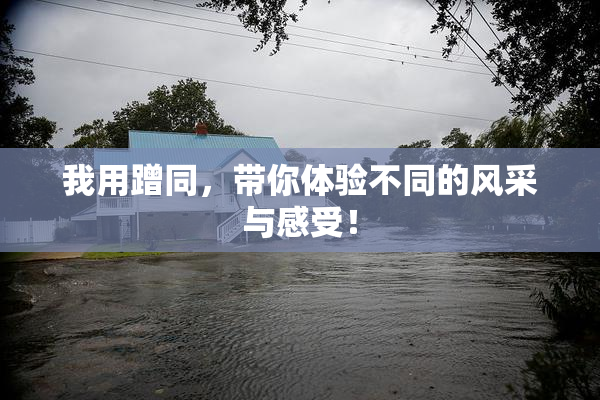 我用蹭同，带你体验不同的风采与感受！