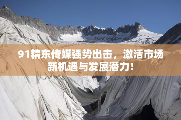 91精东传媒强势出击，激活市场新机遇与发展潜力！