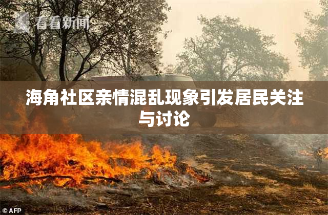 海角社区亲情混乱现象引发居民关注与讨论