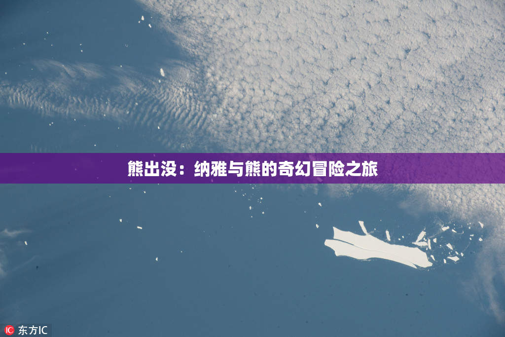 熊出没：纳雅与熊的奇幻冒险之旅