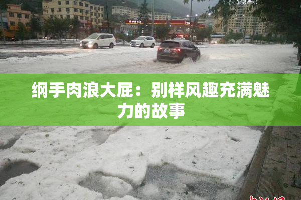 纲手肉浪大屁：别样风趣充满魅力的故事