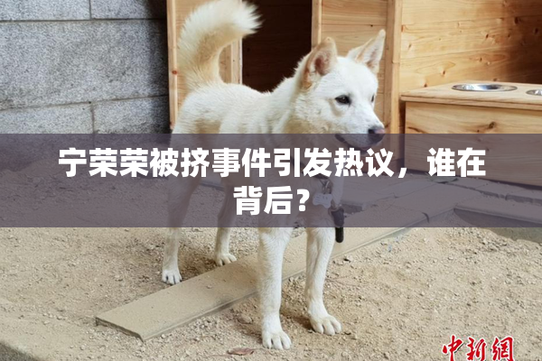 宁荣荣被挤事件引发热议，谁在背后？