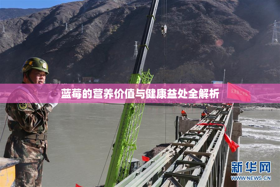 蓝莓的营养价值与健康益处全解析