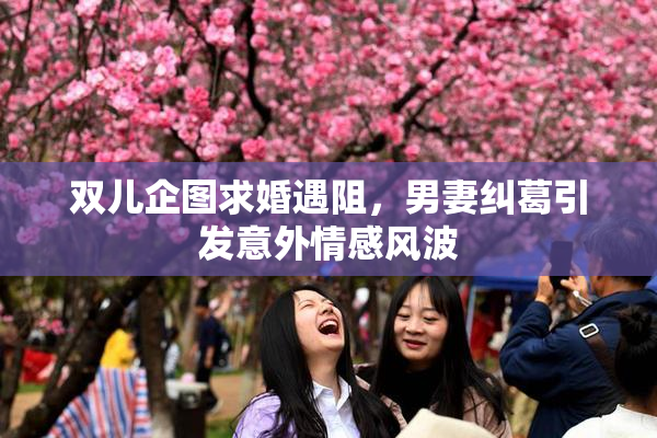 双儿企图求婚遇阻，男妻纠葛引发意外情感风波