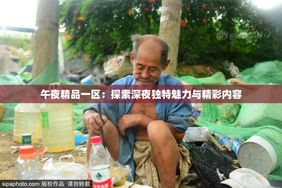 午夜精品一区：探索深夜独特魅力与精彩内容