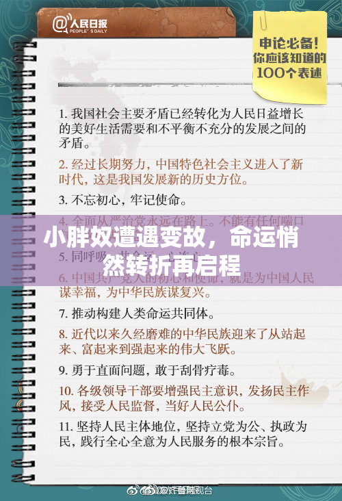 小胖奴遭遇变故，命运悄然转折再启程