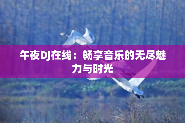 午夜DJ在线：畅享音乐的无尽魅力与时光
