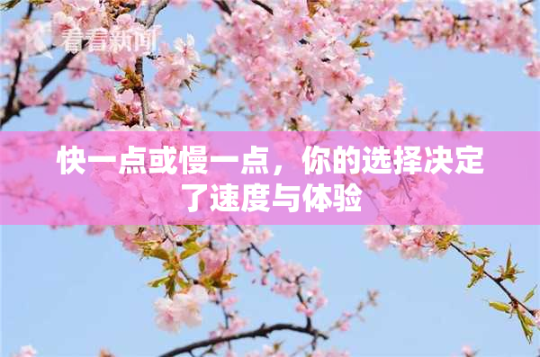 快一点或慢一点，你的选择决定了速度与体验