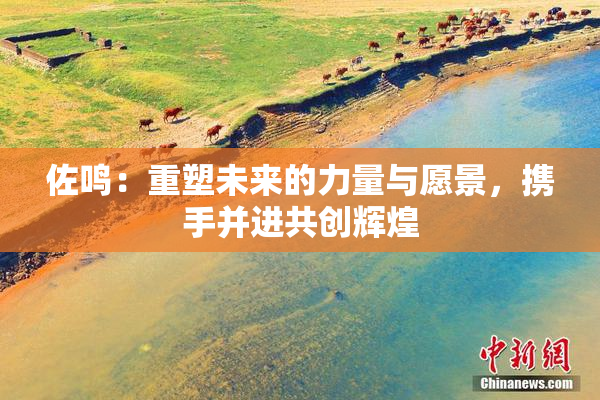 佐鸣：重塑未来的力量与愿景，携手并进共创辉煌
