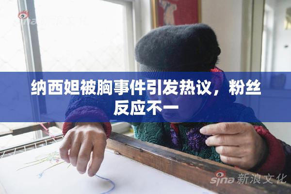 纳西妲被胸事件引发热议，粉丝反应不一