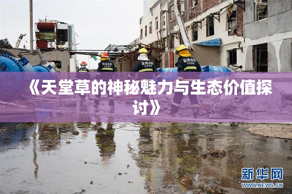《天堂草的神秘魅力与生态价值探讨》