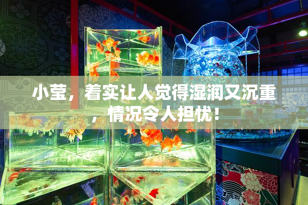 小莹，着实让人觉得湿润又沉重，情况令人担忧！